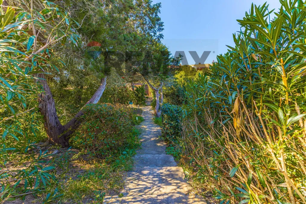 Garden - B&B Apartment with Terrace in Stintino