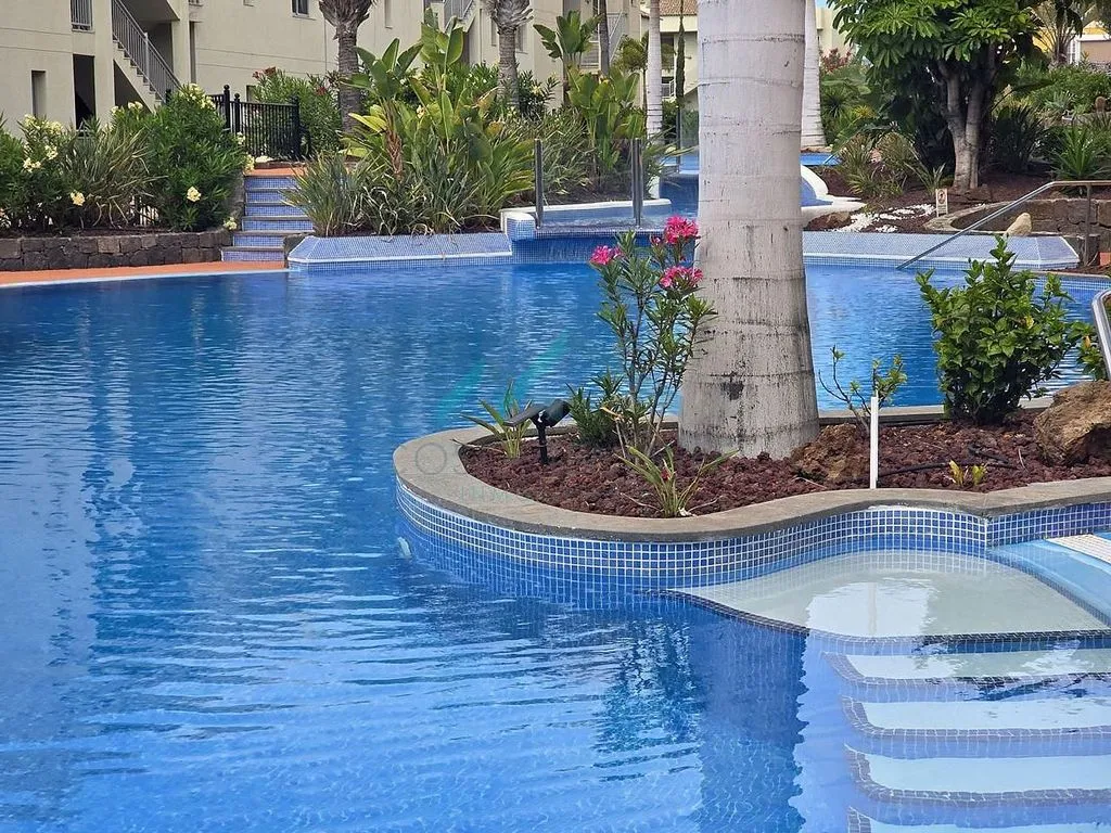 Pool - 1-Bedroom Apartment with Pool in Palm Mar