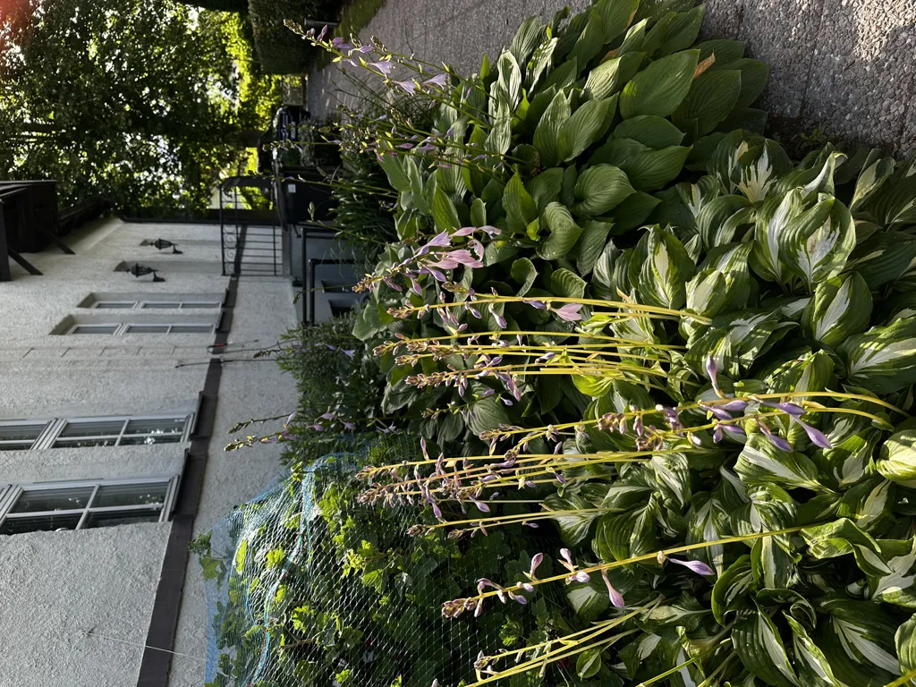 Jardin - Historic Villa with Garden in Old Åkarp