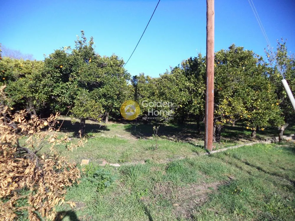Aed - Plot with Mountain View in Aegio Centre