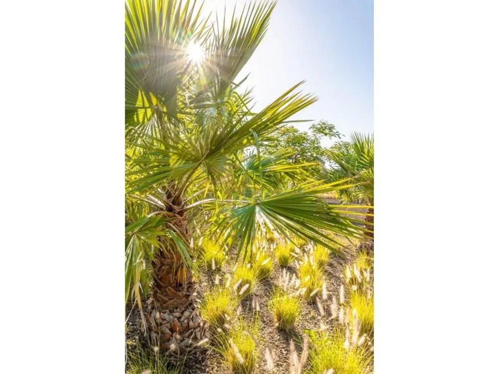 Luxury Hotel with Resort Amenities in Espiche