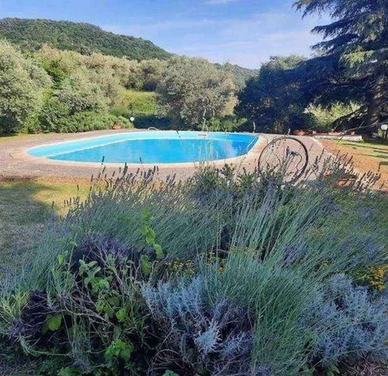 Piscine - Luxury Villa with Pool in Arcidosso, Tuscany