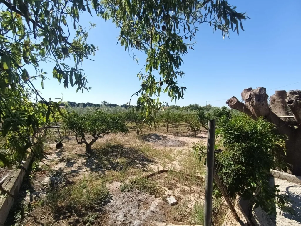 Giardino - Chalet with Seafront Potential in La Marina, Elche