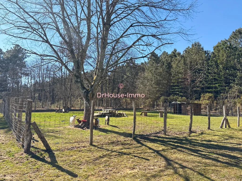 Jardin - Maison Familiale avec Piscine à Changé