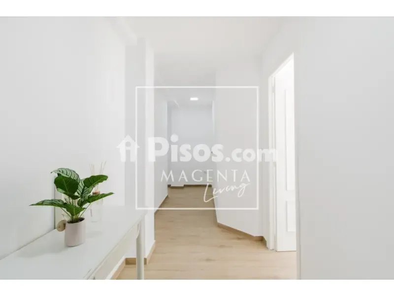 Esik - Bright Studio with Balcony in Murillo Street