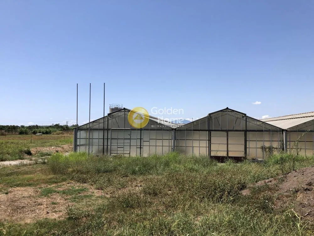 Aed - Agricultural Plot with Greenhouse in Kalamos