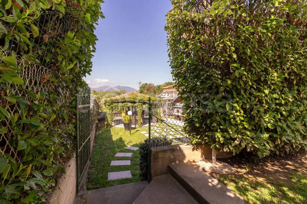 Jardin - Apartment with Terraces in Rosta