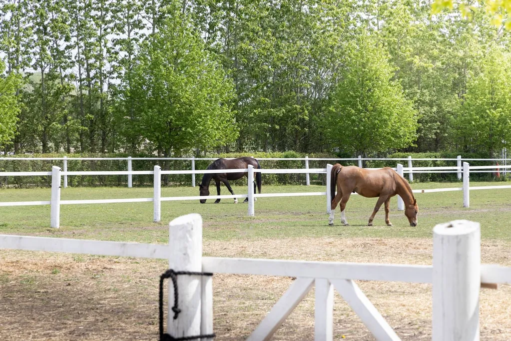 Jardin - Equestrian Facility with Pool in Helsingborg