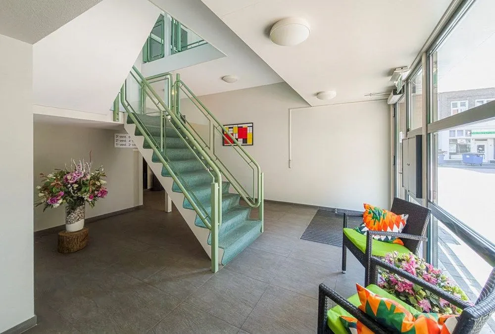 Toad - 3-Bedroom Apartment in Heemstede