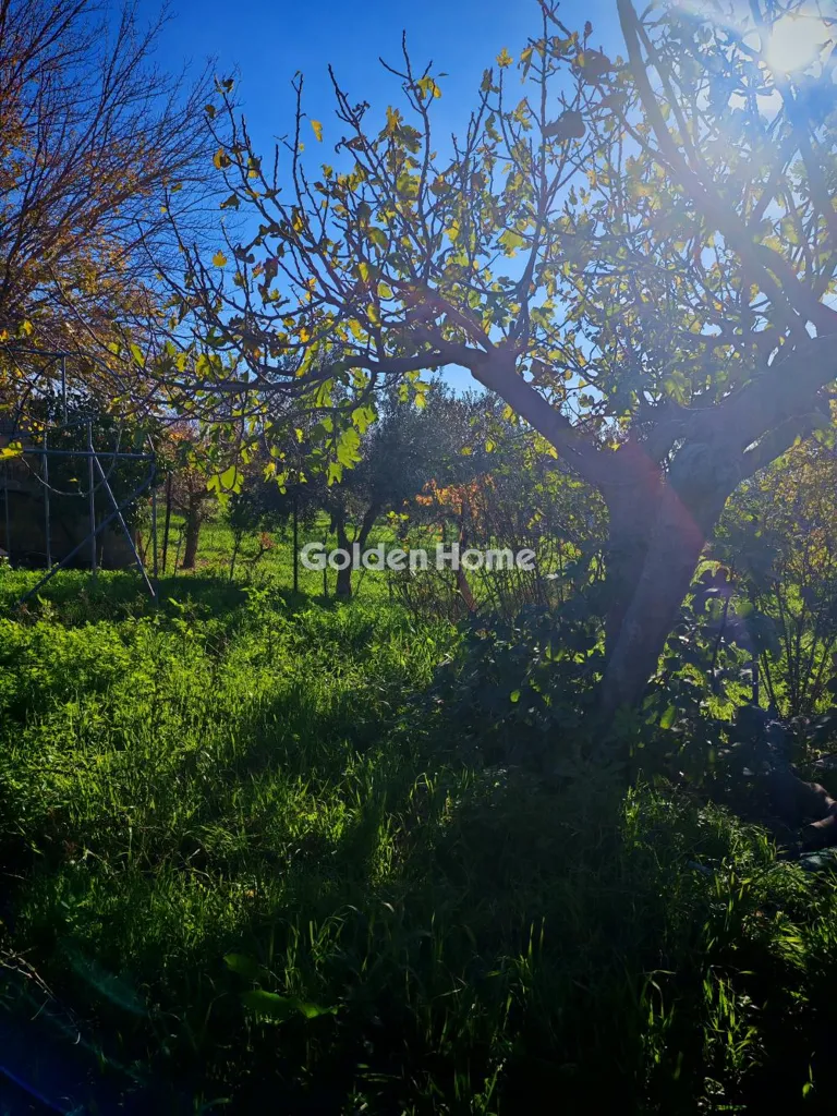 Land in GR