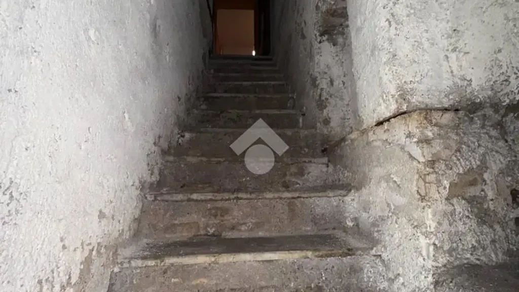 Toad - Cantina with Light Access in Aurelia, Rome