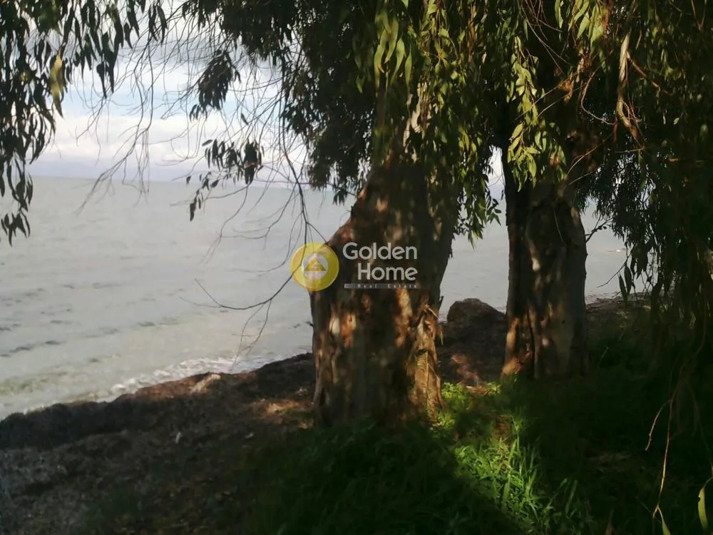 Jardin - Seaside Plot with Sea View in Patras Suburb