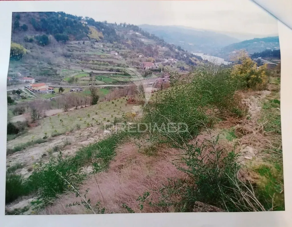 Jardin - Construction Plot with River Douro Views