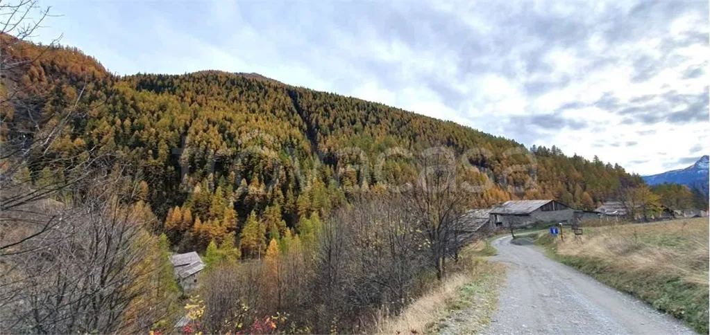 Historic Cottage with Garden in Bardonecchia
