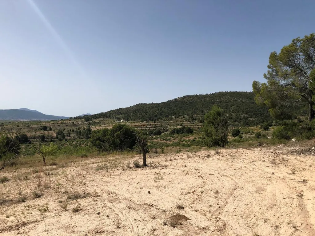 Jardin - Rural Plot with Orchard Views in Yecla