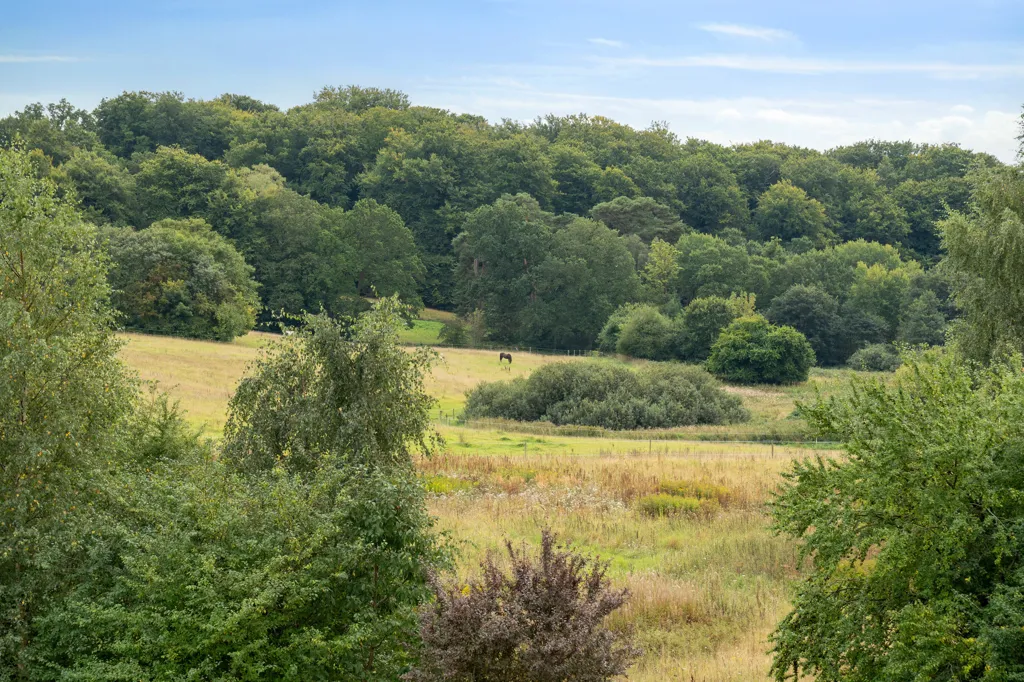 Aed - Villa with Equestrian Facilities in Hillerød