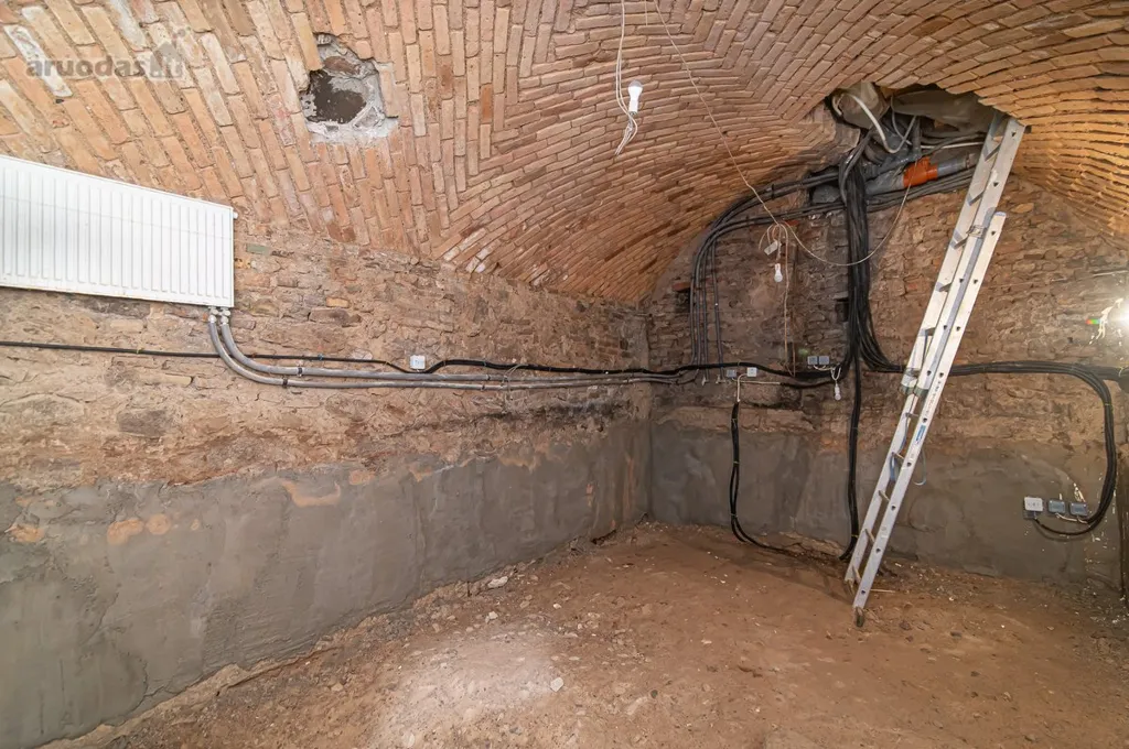 Toad - 4-Bedroom Apartment with Garden in Vilnius