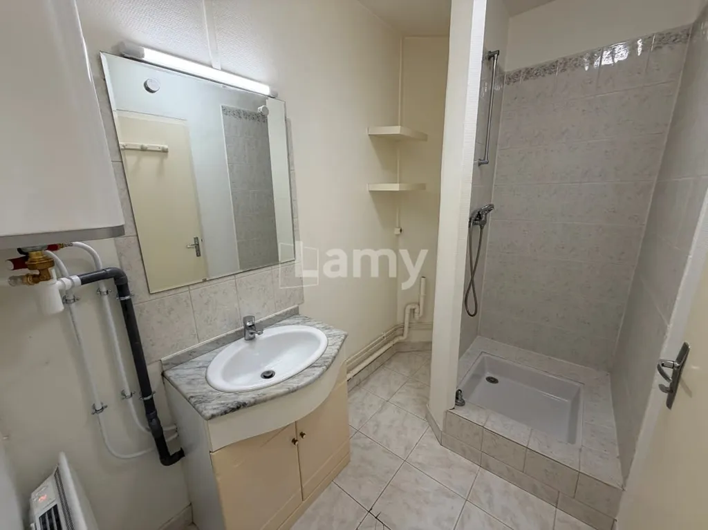 Salles de bain - Appartement Charmant avec Parquet au Sud dans Quartier Historique