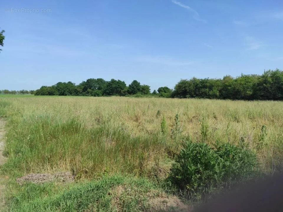 Garden - Buildable Plot with Garden in Bennecourt