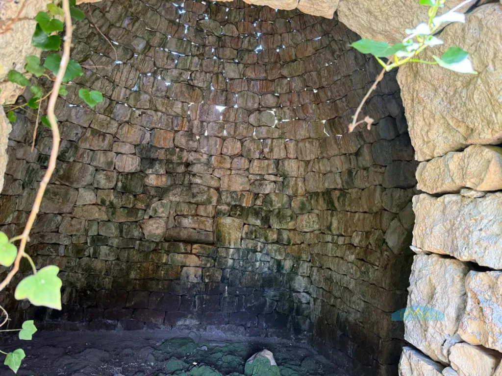 Pièces - Trullo with Olive Grove in Ceglie Messapica