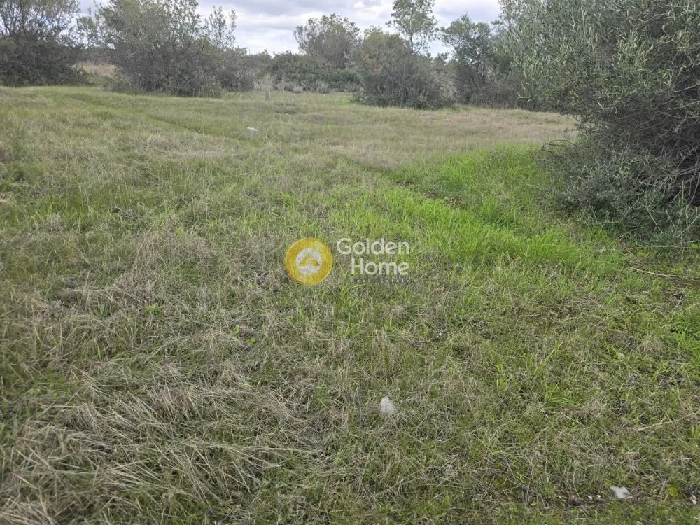 Garden - Plot with Sea View in Loutraki-Perachora