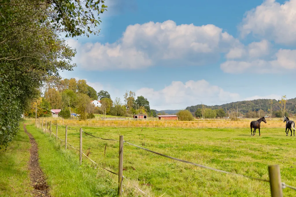 Garden - Historic Villa with River View in Norrmannebo