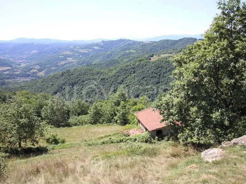 Jardin - Rustic Stone Cottage with Hillside View in Niella Belbo