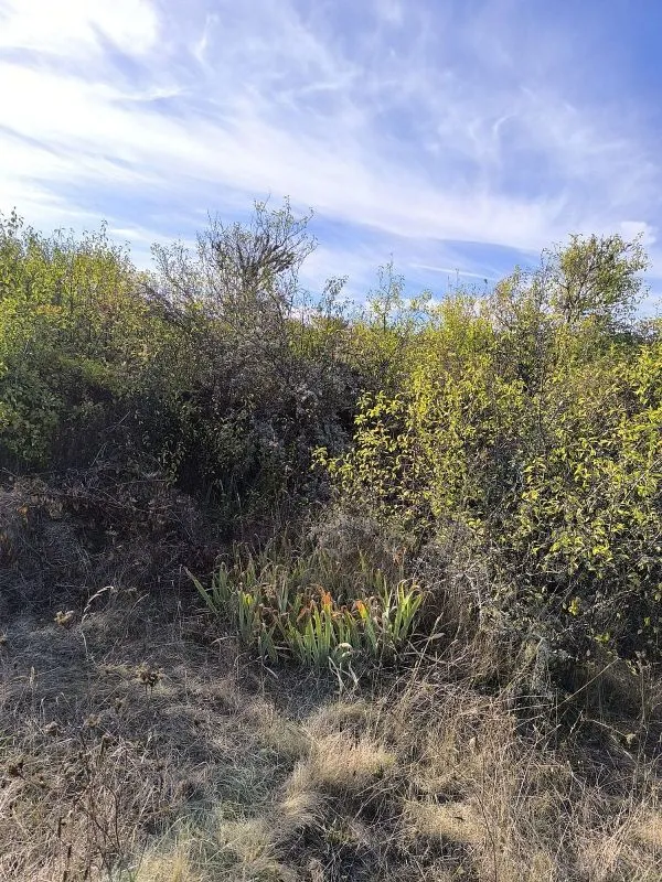 land_plot