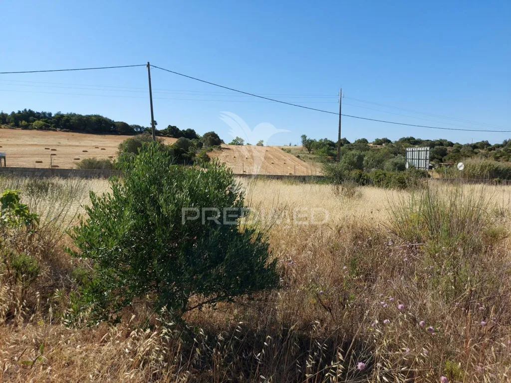 Aed - Delimited Land with Fruit Trees near Lagos