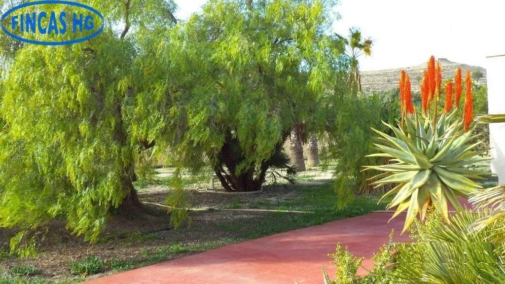 Jardin - Luxury Villa with Pool in Alicante