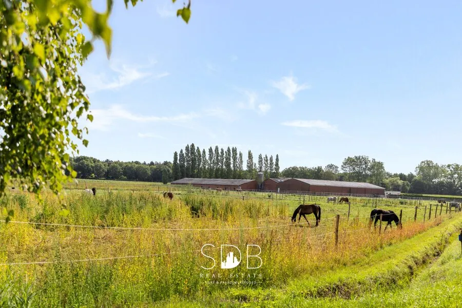 Garden - Farmhouse with Equestrian Facilities in Weelde