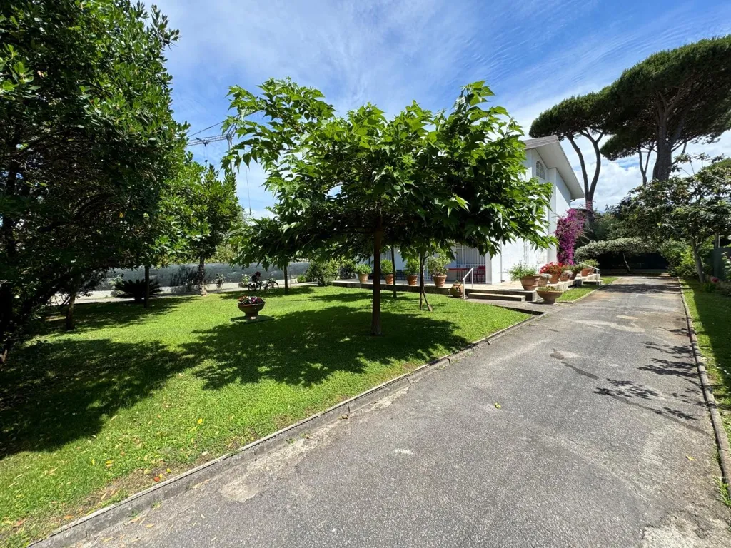 Extérieur - Villa Portion with Garden in Forte Dei Marmi