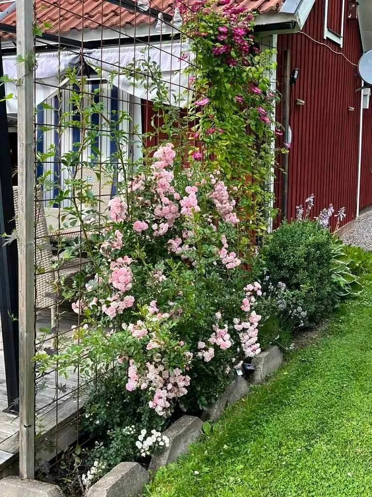 2-toaline maja asukohas Kumla kommun