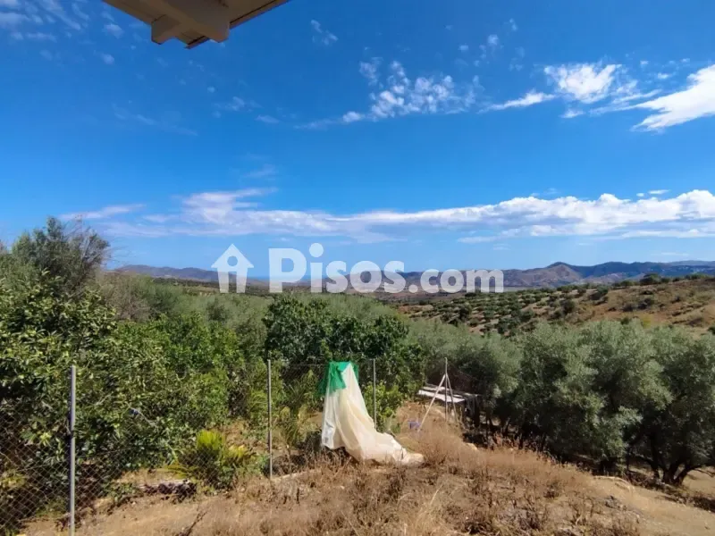 Aed - Chalet with Private Pool in Periana