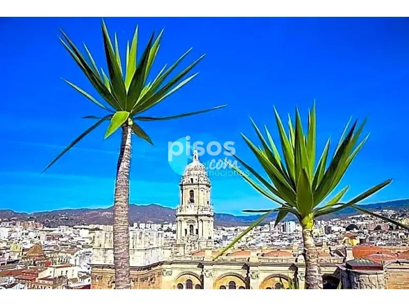 Duplex Penthouse with Cathedral Views in Málaga
