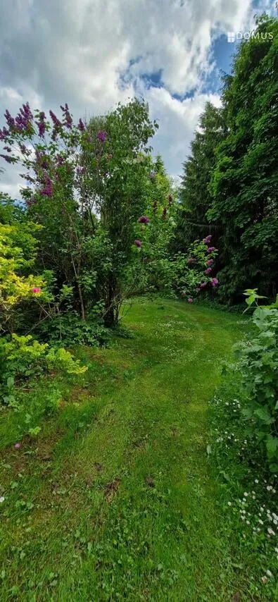 Garden - Detached House with Garage in Jürimõisa