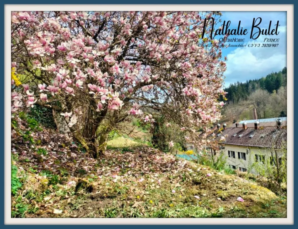 Appartement avec Jardin à Plombières-les-Bains