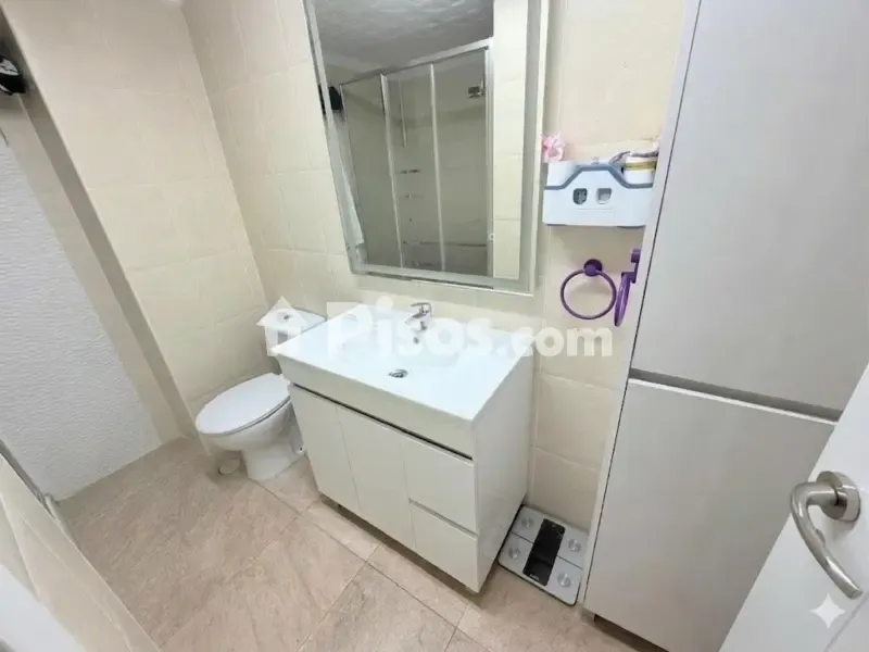 Salles de bain - Apartment with Terrace on Avenida de Europa