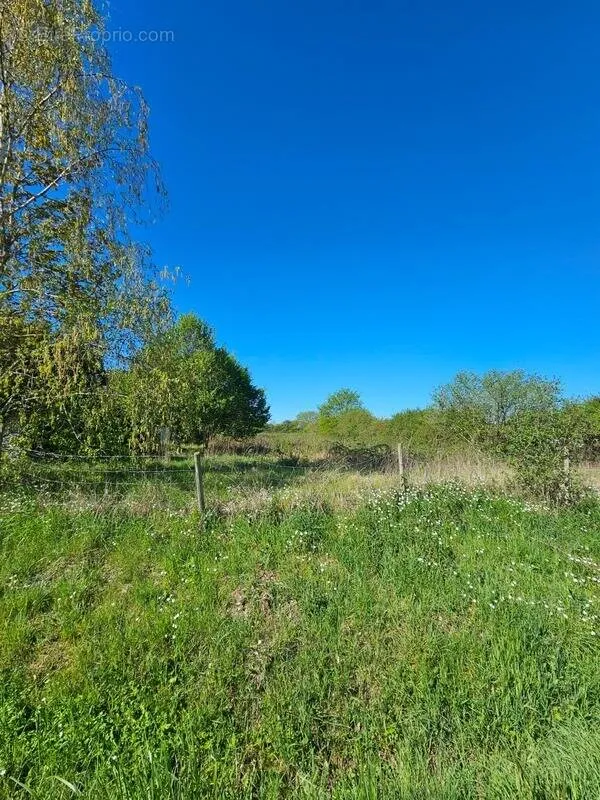 Garden - Plat Land with Water Access in Boulleret