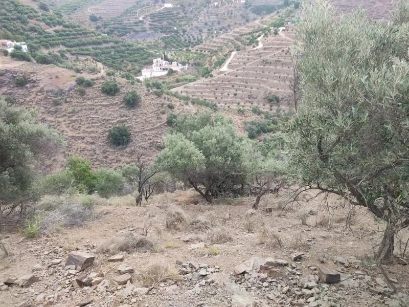 Jardin - Two Large Plots with Panoramic Views near Sayalonga
