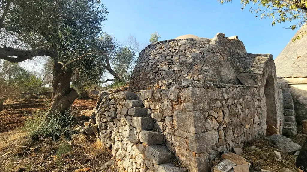 Extérieur - Trullo with Olive Grove in Carovigno