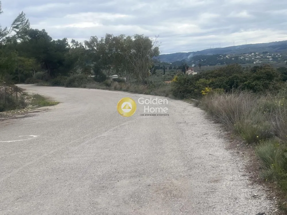 Aed - Corner Plot with Olive Trees in Theologos