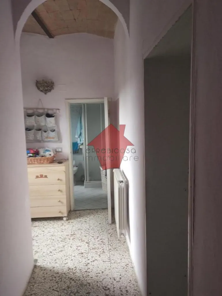 Esik - Terraced House with Olive Grove in Vinci