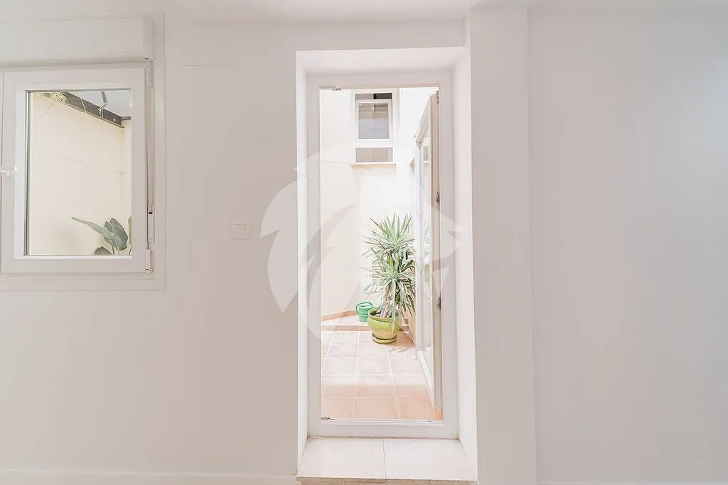 Toad - Apartment with Terrace in Carolinas Altas