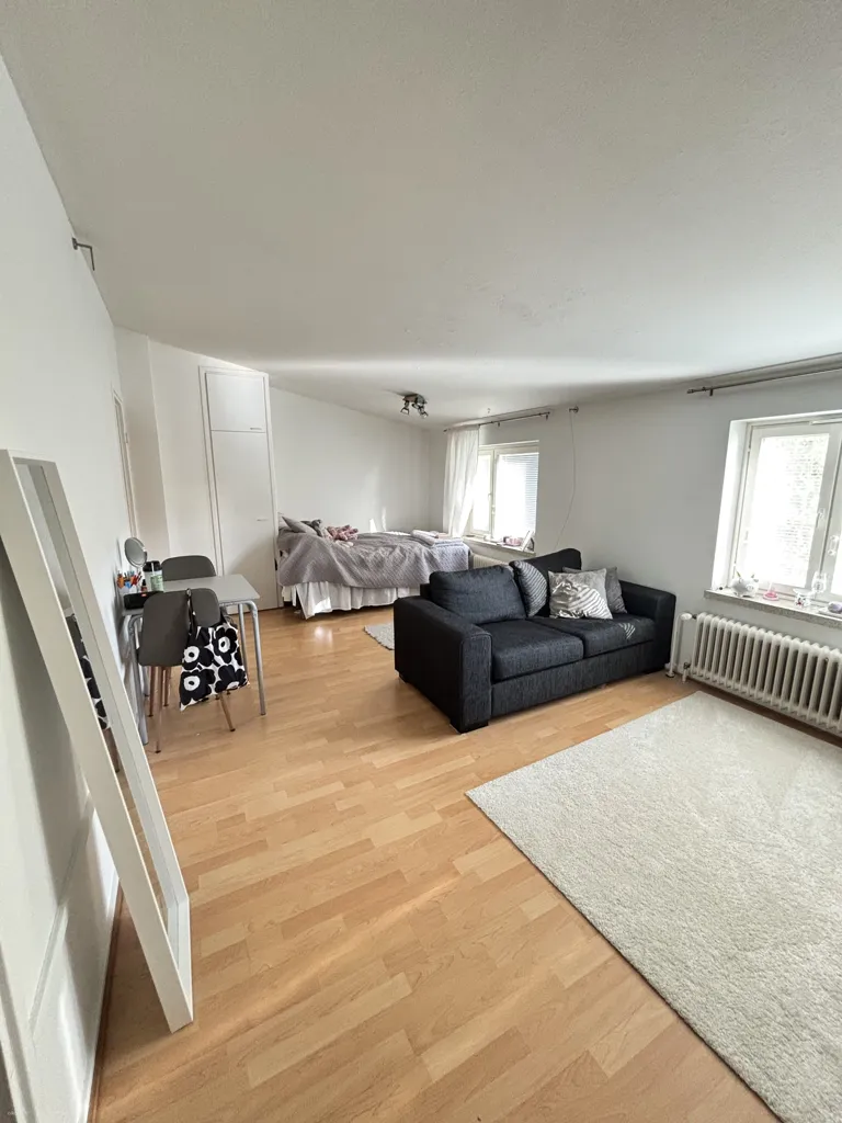 Living Room - Modernised Studio Flat in Lahti Centre