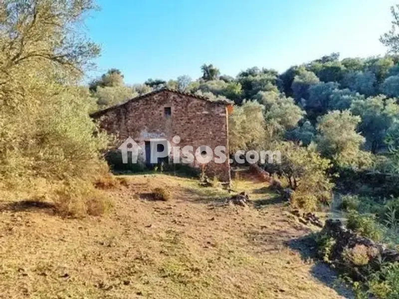 Välivaade - Rustic House with Olive Grove in La Nava