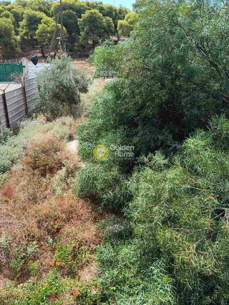 Aed - Agrarian Plot with Sea View in Nea Peramos