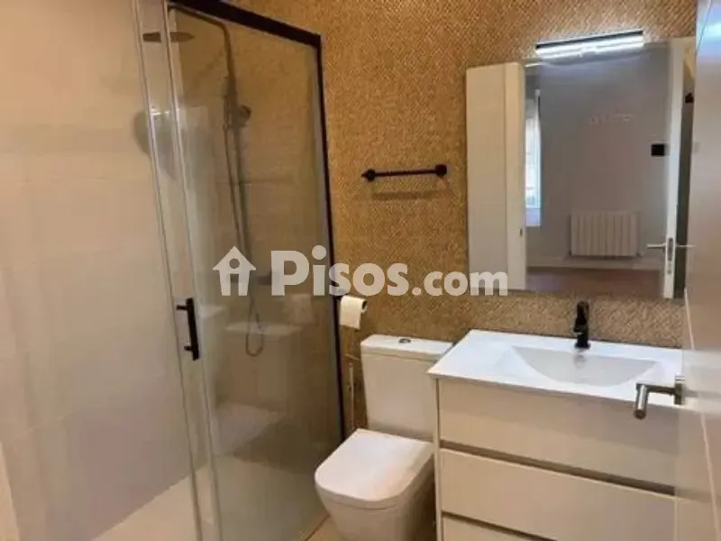 Salles de bain - Reformed Apartment with Terrace in Neguri