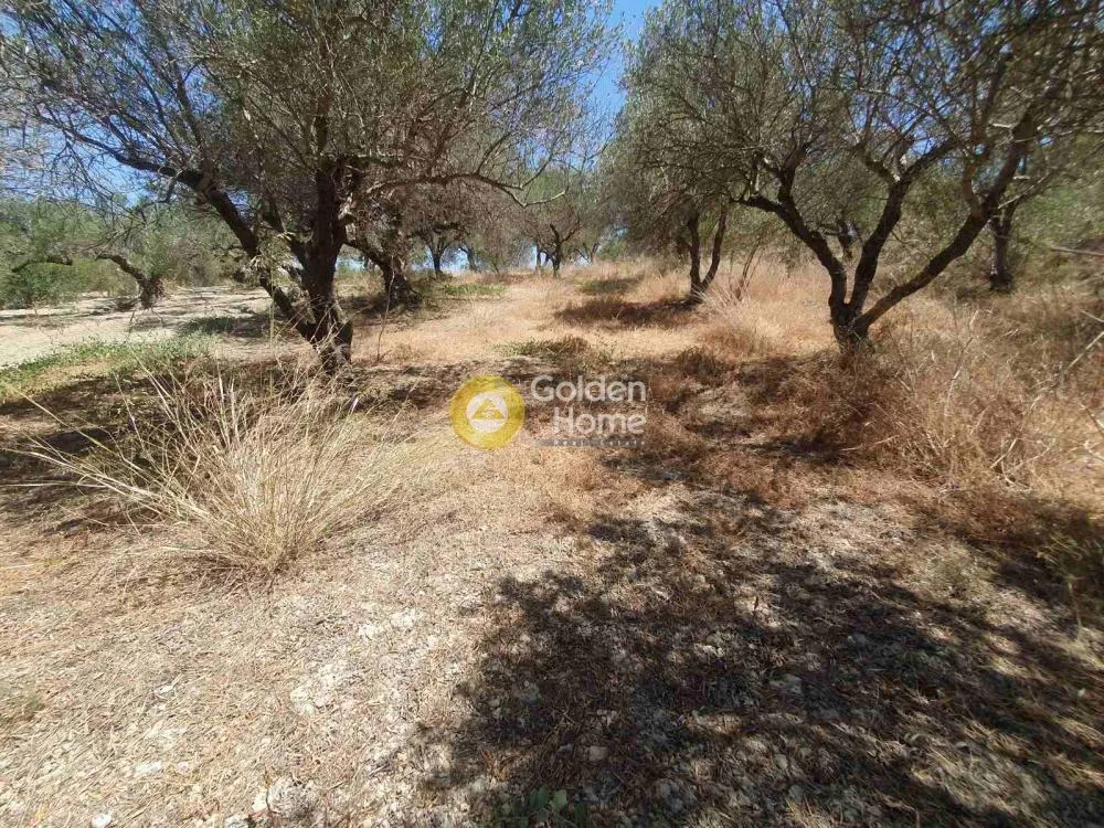 Jardin - Buildable Plot with Sea View in Episkopi
