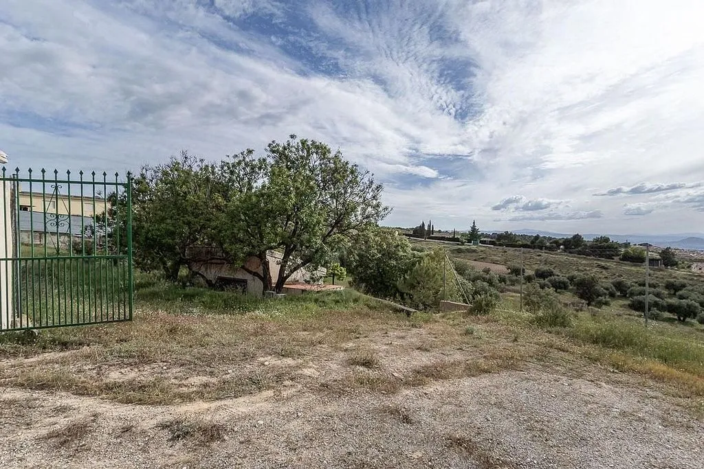 Garden - Rustic Farmhouse with Olive Grove in Monachil